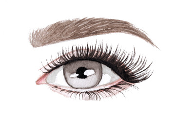 Woman eyes with long eyelashes. Hand drawn watercolor illustration. Eyelashes and eyebrows. Сoncept of eyelash extensions, microblading. Grey eyes.
