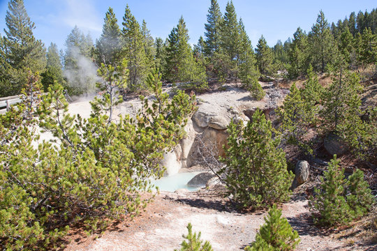 Norris geyser basin
