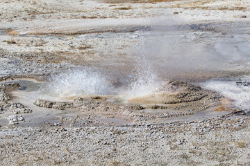 Black sands geyser basin
