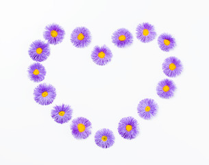 Heart symbol made of violet flowers isolated on white background. Flat lay. Top view.
