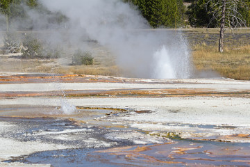 Black sands geyser basin