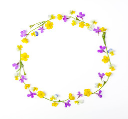 Round frame wreath made of meadow flowers isolated on white background. Top view. Flat lay.