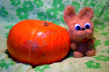 Тыква и заяц