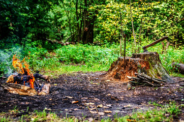 Fototapeta premium A bonfire in the woods more often. Nearby is a stump from an old tree with an ax sticking out of it. The stump is covered with firewood. 
