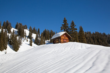 Winter in alps