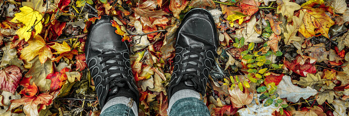 Young girl in jeans and sneakers on his feet, walks through the fall leaves on the road in the woods in the sunshine outdoors, panoramic banner