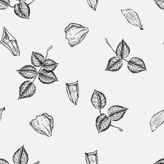 Vector seamless hand drawn pattern with roses in vintage graphic style. Gentle decoration pattern for paper, textile, handmade, wrapping decoration, scrap-booking, polygraphy, t-shirt, cards.