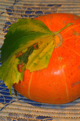 Осенняя тыква