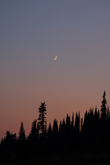 Moon with Sunset in Forrest