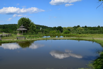 Fototapeta na wymiar Pond with cloud reflections