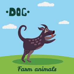 Cute Dog, farm animal character, farm animals, vector illustration on field background. Cartoon style, isolated