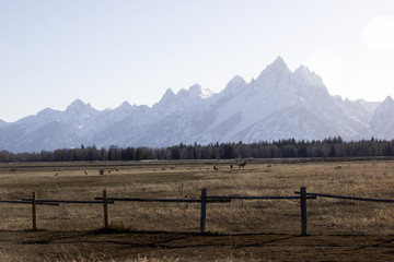 Grand Teton National Park