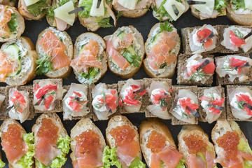 Gourmet appetizers: caviar, venison, tuna and salmon.