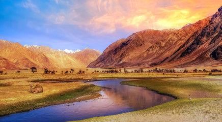 Fototapeta na wymiar Sunrise at Nubra valley Ladakh with scenic landscape.