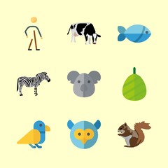 animal icons set. eyes, larva, feathers and season graphic works