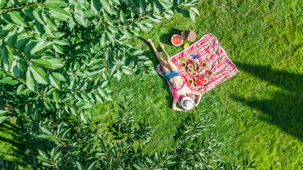 Beautiful young girl relaxing on grass, having summer picnic in park outdoors, aerial view from...