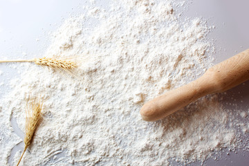 flour of a rolling ears spikelets of wheat on a light background