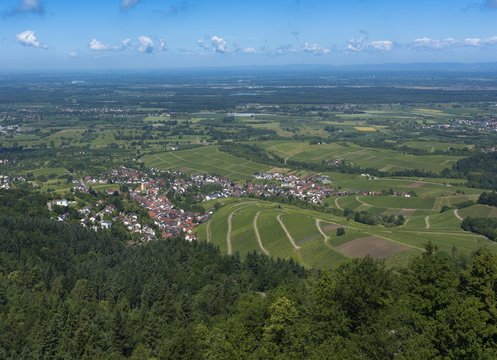 View over the Black Forest to the vineyards of the village Varnhalt near Baden Baden, Germany