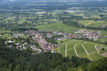 Fototapeta na wymiar View over the Black Forest to the vineyards of the village Varnhalt near Baden Baden, Germany