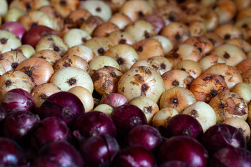 Raw white and red onion background