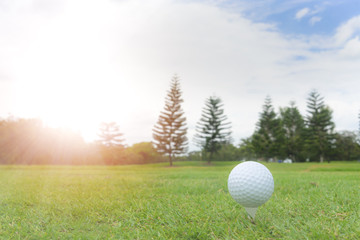 Golf concept : Golf ball on golf course, an golf ballset up for tee shot. With artificial sunlight and copy space. Pine trees as background.
