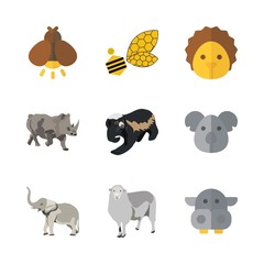 9 animal icons set