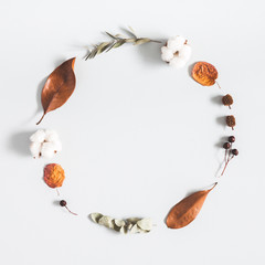 Autumn composition. Wreath made of eucalyptus branches, cotton flowers, dried leaves on pastel gray background. Autumn, fall concept. Flat lay, top view, copy space, square