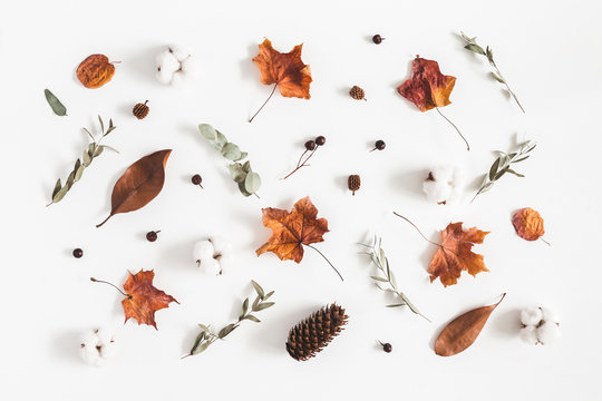 Autumn composition. Pattern made of eucalyptus branches, cotton flowers, dried leaves on white background. Autumn, fall concept. Flat lay, top view