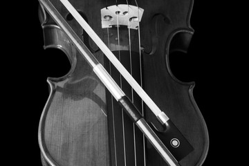 Violin 1 Black and White