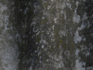 grey slate with moss background texture