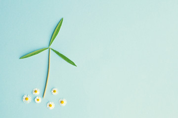 creative windmill made of fresh green leaves and chamomile flower isolated on blue background, top view, flat lay