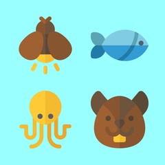 animal vector icons set. squirrel, firefly, octopus and fish in this set