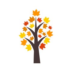 Obraz premium Autumn tree with yellow and orange leaves