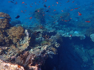 Naklejka na ściany i meble Schnorcheln am Japanese Shipwreck Amed Bali Indonesien