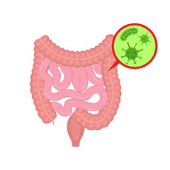 Bacteria. Intestine. Vector. Flat design. 