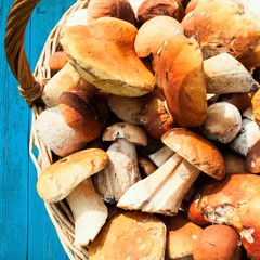 Mushrooms in basket on blue wooden table.