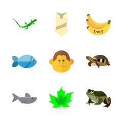 tropical vector icons set. bananas, shark, frog and turtle in this set