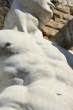 David di Michelangelo - Firenze