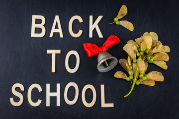 Back to school concept. Top view banner school bell and autumn dry leaves over classroom blackboard background