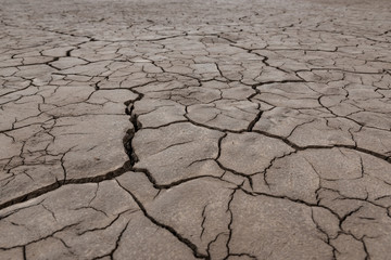 Cracked earth from drought. Brown earth. Ecological catastrophy. Cracks in the ground. Background. The texture of cracks in the soil.