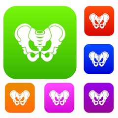 Pelvis set icon in different colors isolated vector illustration. Premium collection