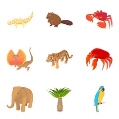 African animal icons set. Cartoon set of 9 african animal vector icons for web isolated on white background