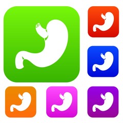 Stomach set icon in different colors isolated vector illustration. Premium collection