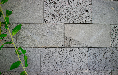 Grey texture of stone fence with some green plant