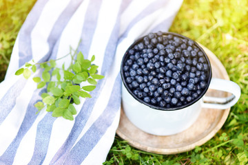 Fototapeta na wymiar Fresh organic wild blueberries in old retro cup, green grass, summer harvest, healthy food