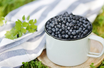 Fresh organic wild blueberries in old retro cup,  green grass, summer harvest, healthy food