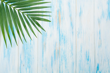 Fototapeta premium Green leaf with copy space. Green fresh plants on wooden background.