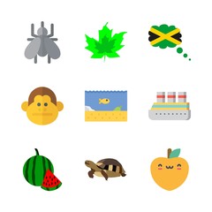 tropical icons set. harbor, nutrition, travel and round graphic works