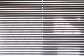 Blinds on the window
