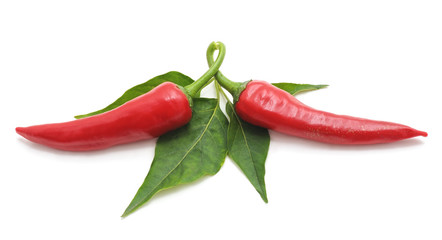 Two red peppers with leaves.